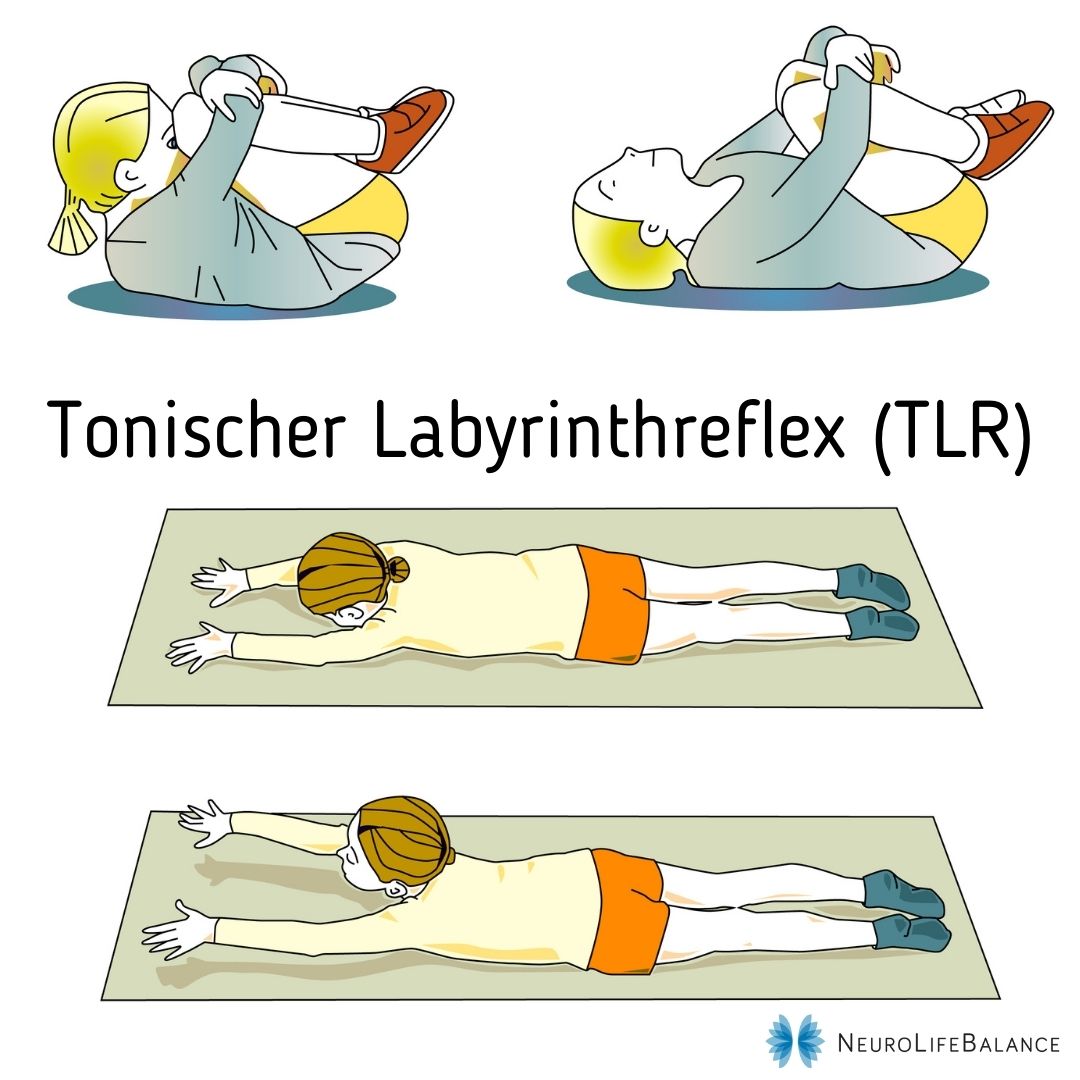 Artikel-Serie: Primitive Reflexe