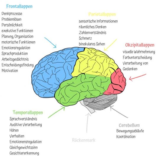 Personal Coaching für ein Gehirn im Gleichgewicht